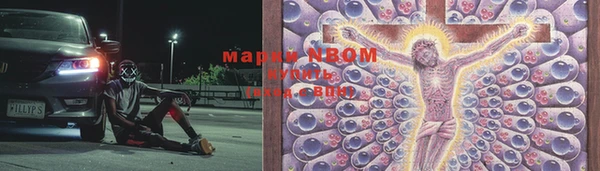 хмурый Елизово