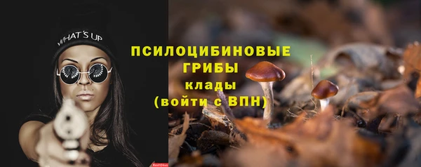 хмурый Елизово