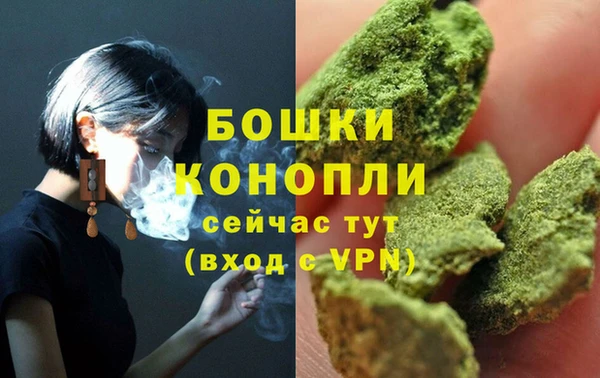 хмурый Елизово