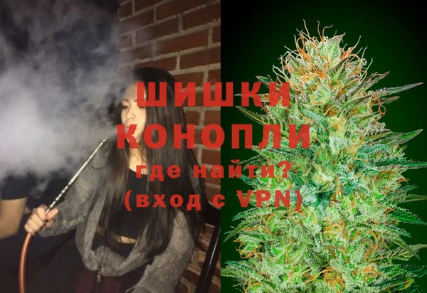 марки lsd Ельня