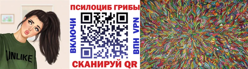 ссылка на мегу сайт  Сусуман  Галлюциногенные грибы мицелий 